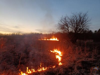 Первые палы сухой травы зафиксированы в Слонимском и других районах Гродненской области