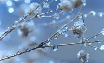 По этой примете 12 марта узнавали, будет ли лето теплым