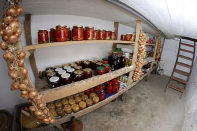 Овощи гниют в погребе из-за сырости? Вот простое средство, которое решает проблему за несколько дней