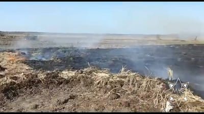 В Слонимском районе произошло первое в этом году возгорание леса