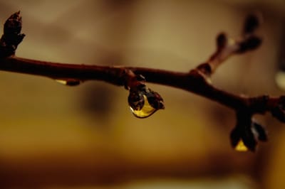 Дождь со снегом: о погоде на Гродненщине 18-19 марта 