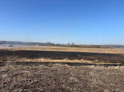 86-летний мужчина погиб при выжигании сухой растительности в Щучинском районе, а в Лиде сгорела хозпостройка