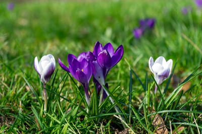 О погоде на Гродненщине 21-23 марта