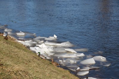 Один запрет 23 марта, который боялись нарушить наши предки