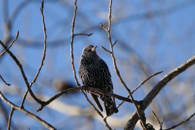 Прогноз погоды в Гродненской области на 24–26 марта