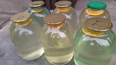 Березовый сок со смородиновой веточкой: придаем привычному напитку божественный вкус