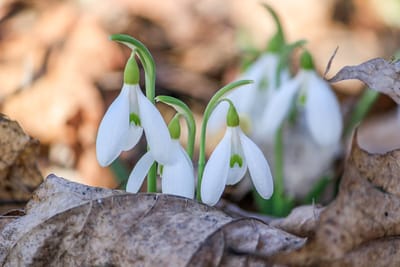 Погода в Гродненской области: потепление без серьёзных осадков