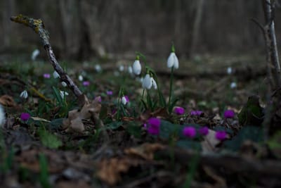 Погода в Гродненской области: потеплеет до +18°C, а затем придут дожди 