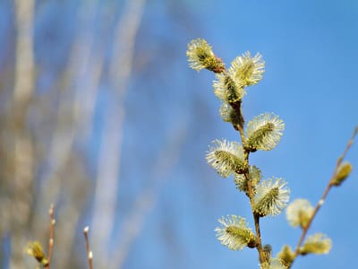 В Гродненской области ожидается дождливая погода с порывистым ветром