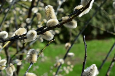 О погоде на Гродненщине 3-5 апреля 