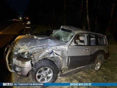 В Зельвенском районе из-за дикого животного опрокинулся автомобиль: пострадал пассажир