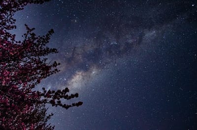 Гороскоп на субботу, 11 апреля 2026 года