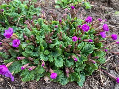 Прогноз погоды в Гродненской области на 13-15 апреля 2026 года