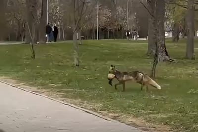 Фото: скриншот видео Телерадиокомпания Гродно