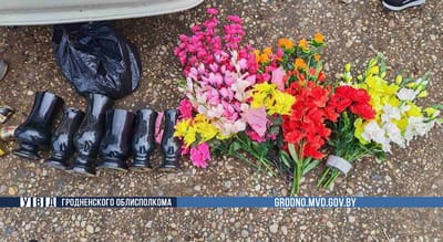 76-летний житель Слонима обворовывал дачи и похищал вазы с кладбища