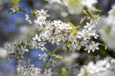 выходные в апреле и мае