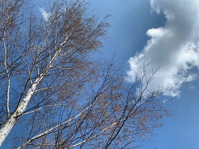 Погода в Гродненской области на 17–19 апреля: дожди, потепление и утренние туманы