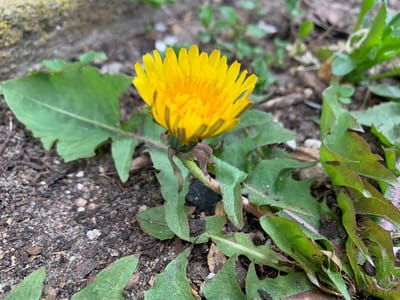 Переменная облачность и до +17 градусов: о погоде на Гродненщине в выходные