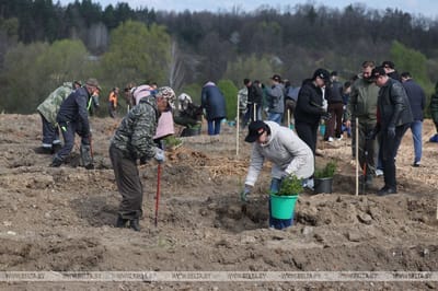 Субботник в агрогородке Жировичи