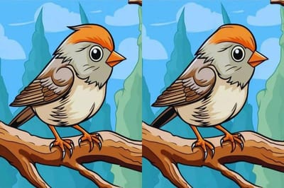 Отличия на картинке