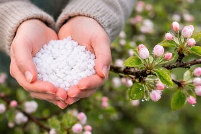 погода в Беларуси