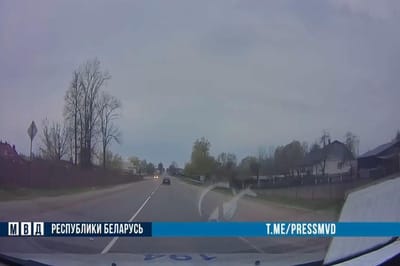 Водитель устроил погоню