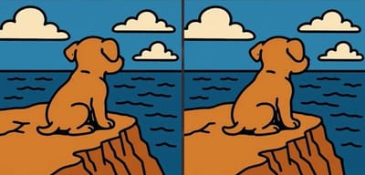 найдите на картинке отличия