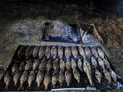 В Слонимском районе пресечена незаконная добыча рыбы в период нереста