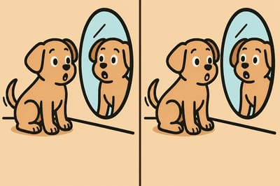 Головоломка на внимательность