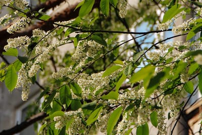 прогноз погоды на майские праздники