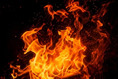 022bee3b 03a6 4f6a adaa 778017024846 2