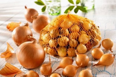 onions 1200x800