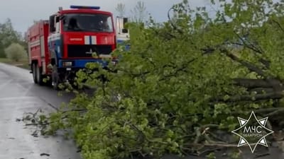 непогода