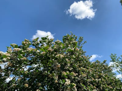 photo 2026 05 22 12 14 46