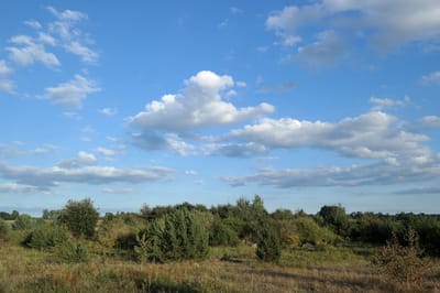погода