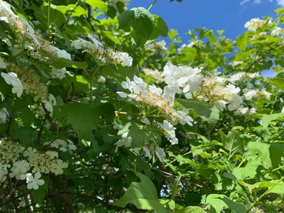 photo 2026 06 02 12 09 41