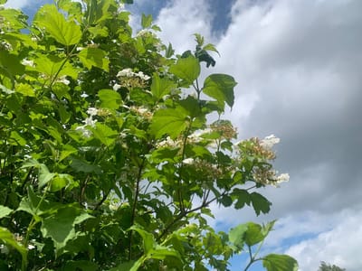 photo 2026 06 04 13 29 49