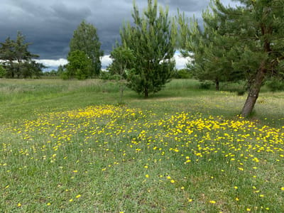 photo 2026 06 05 13 04 51
