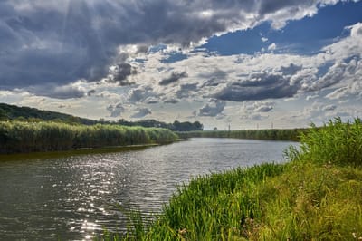 браконьерство