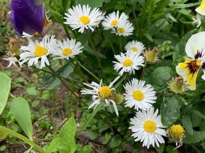 photo 2026 06 19 11 50 16
