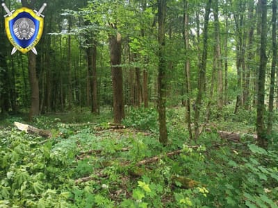 photo 2026 06 23 13 48 58