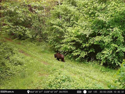 photo 2026 06 03 15 13 45