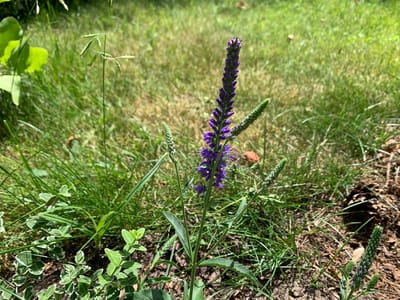 photo 2026 06 24 12 40 35