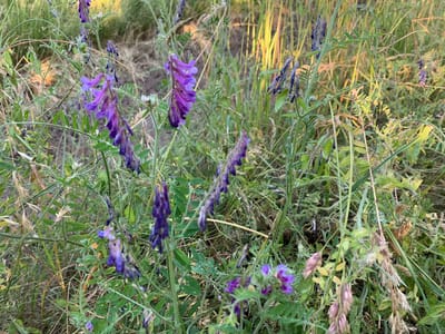photo 2026 06 25 20 02 17