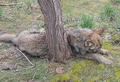 photo 2026 06 25 10 10 56