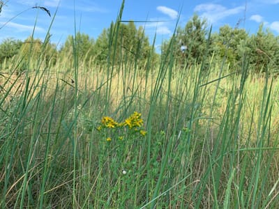 photo 2026 06 30 17 59 11