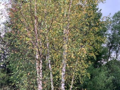photo 2026 07 02 18 16 20