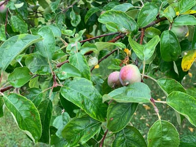 photo 2026 07 03 13 34 12