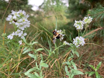 photo 2026 07 07 13 42 25