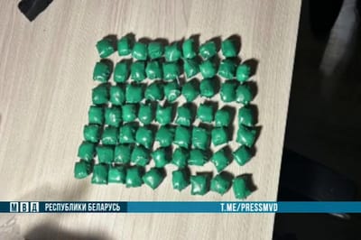 16-летней школьнице грозит до 15 лет лишения свободы. Что натворила девочка?